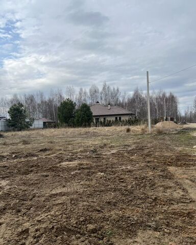 земля ул Новая д. Боровая фото