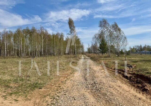 земля Богородское сельское поселение, Казань фото