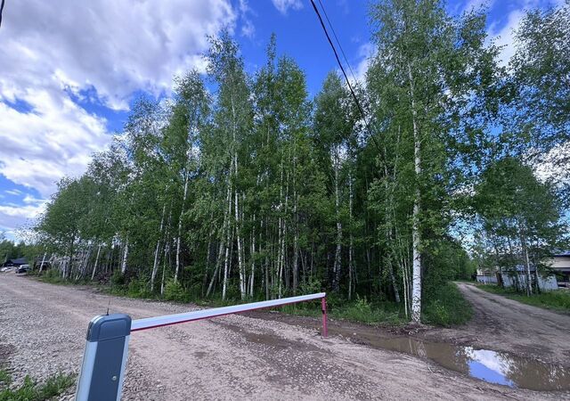 Дубравная ул Кызыл Ромашка Республика Татарстан Татарстан фото