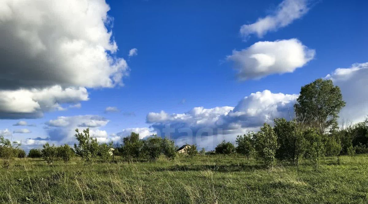 земля г Юрга ул Зеленая фото 3