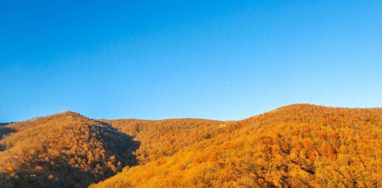 квартира г Сочи с Эстосадок ул. Эстонская, 27 фото 18