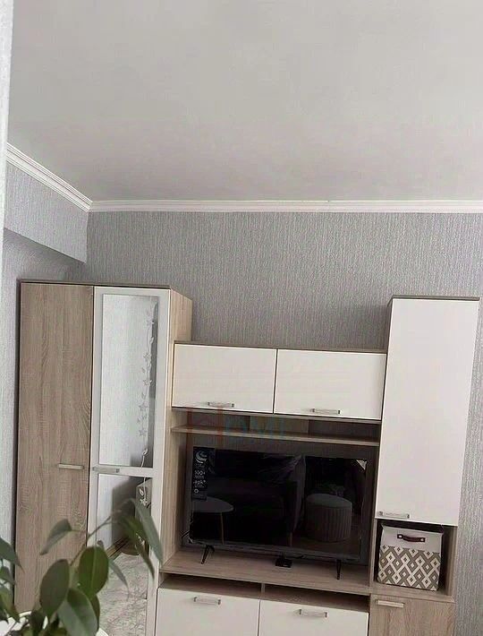 квартира г Новосибирск ул Магистральная 5 Площадь Ленина фото 3