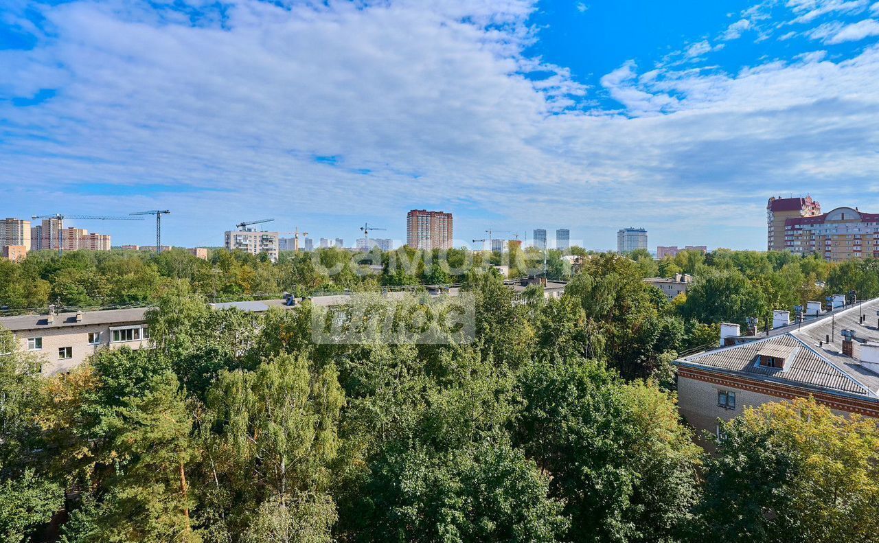 квартира г Пушкино ул Озерная 11к/1 г. о. Пушкинский фото 30