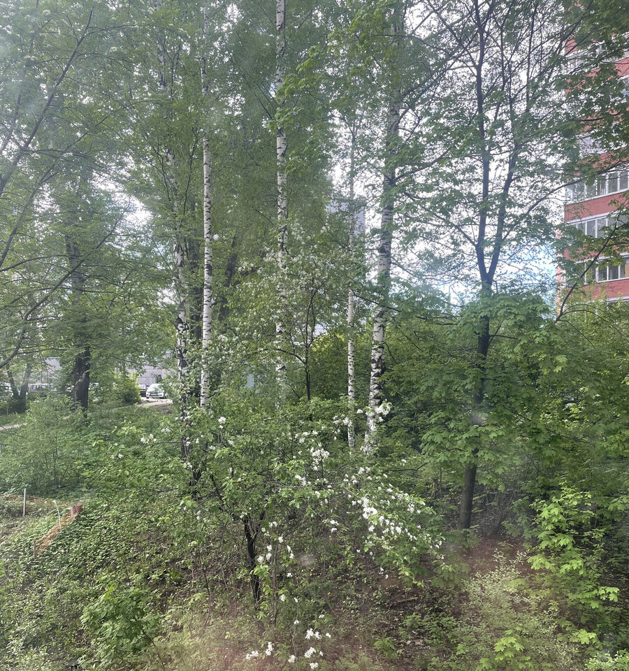 квартира г Пермь р-н Свердловский Крохалева ул Яблочкова 31 фото 21