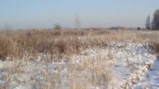 земля г Благовещенск фото 4