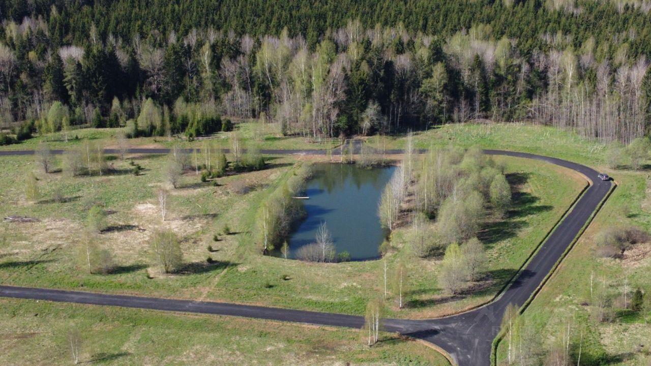 земля городской округ Сергиево-Посадский г Краснозаводск «Холмогоры» фото 7