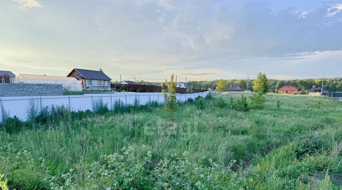 земля г Саранск рп Николаевка ул Бородинская фото 6