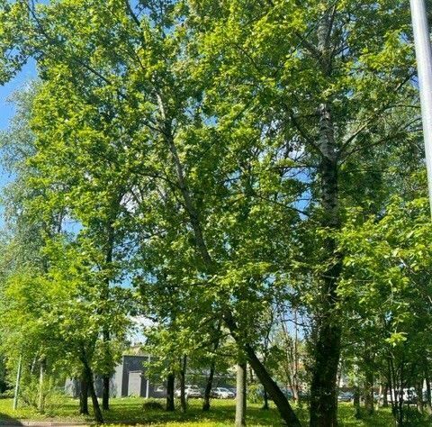 квартира г Санкт-Петербург метро Проспект Ветеранов ул Пограничника Гарькавого 20к/4 фото 3