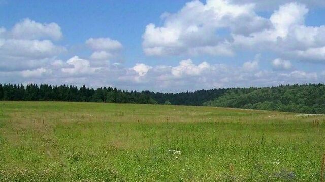 пр-д 1-й Дементеевский Тула городской округ фото