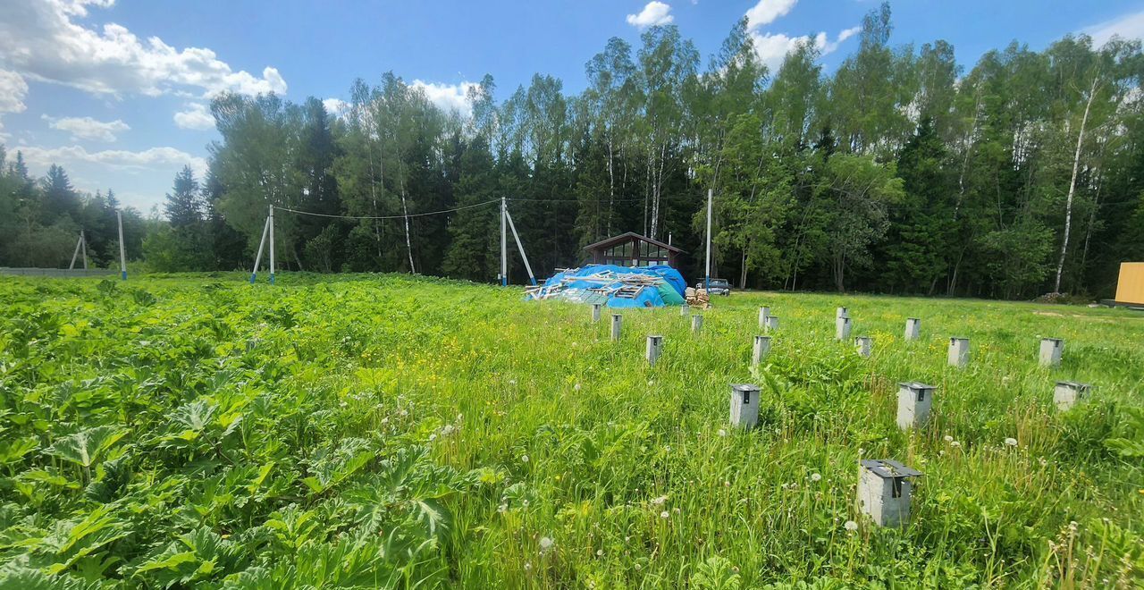 земля городской округ Клин г Высоковск 64 км, дп. Клинские Сады, г. о. Клин, Ленинградское шоссе фото 5