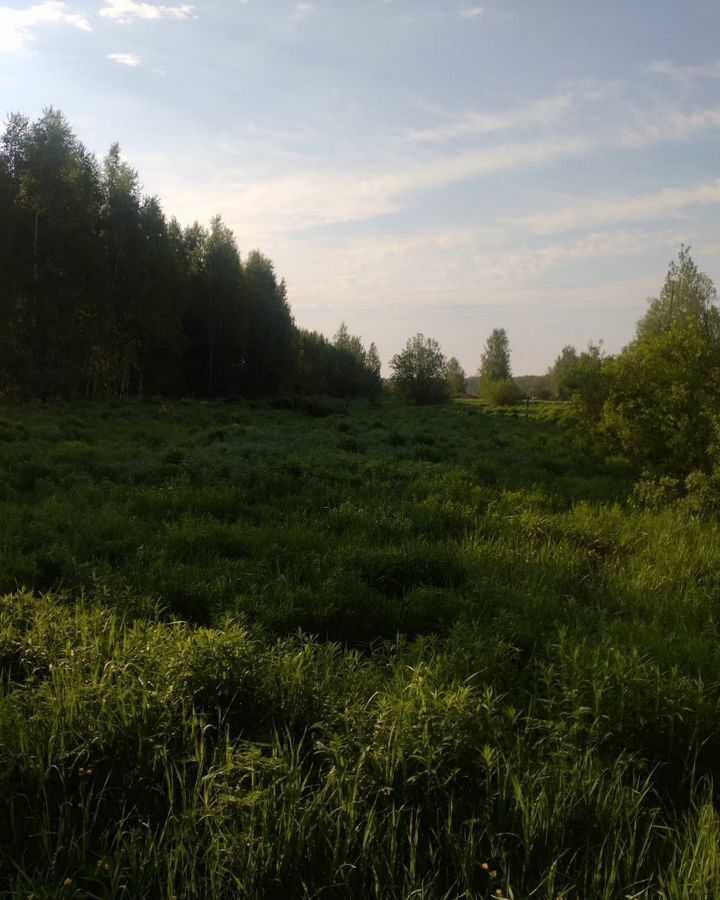земля г Бор с Линда ул Победы р-н Линдовский сельсовет фото 2