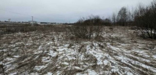 Зеленоград—Крюково, городской округ Солнечногорск фото