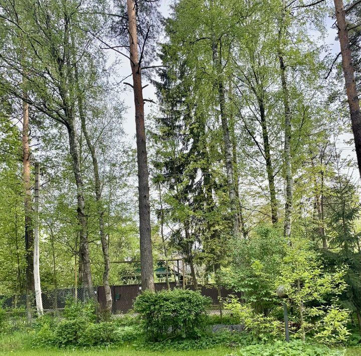 дом р-н Всеволожский г Всеволожск ул Баркановская 115 Ладожская фото 7