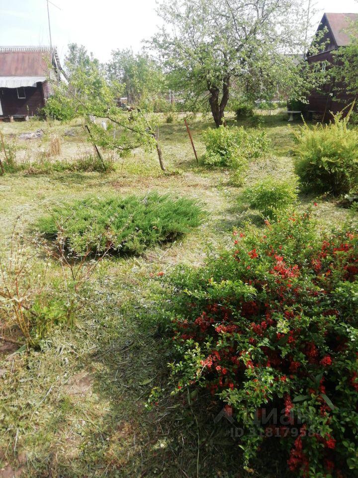 земля г Павловский Посад снт Шелковик 72, Наро-Фоминский городской округ фото 4