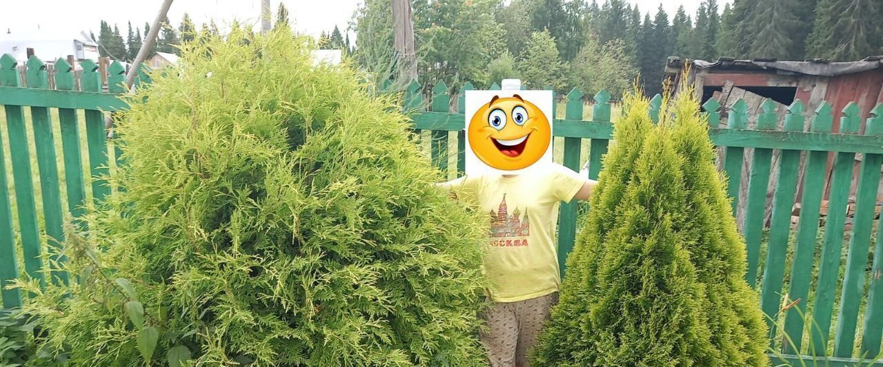 дом г Александровск пос. Разъезда Люзень фото 6