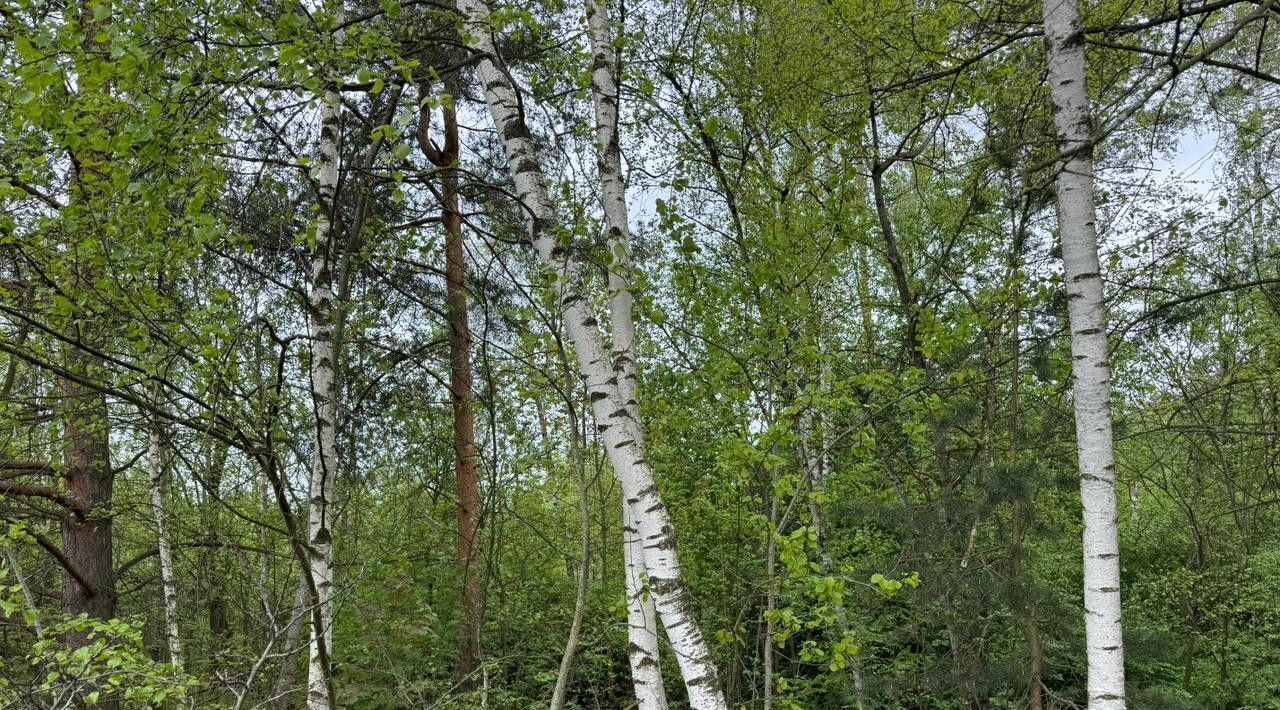 офис городской округ Богородский г Электроугли Железнодорожная фото 1