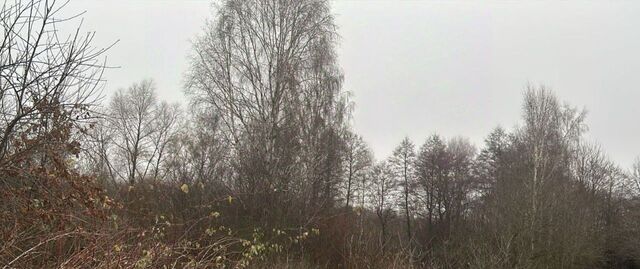 офис д Дворяниново фото