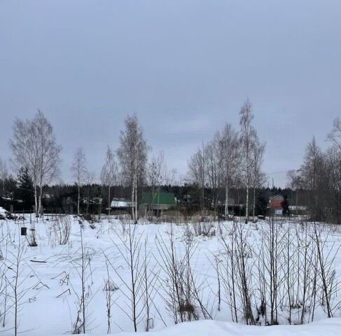 д Большое Коновалово ул Добринская Пениковское с/пос фото