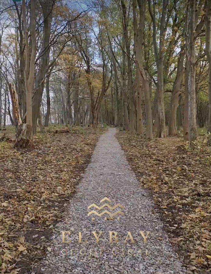 квартира р-н Светлогорский г Светлогорск апарт-отель Elybay ул. Дюнная, д. 21, корп. 2 фото 22