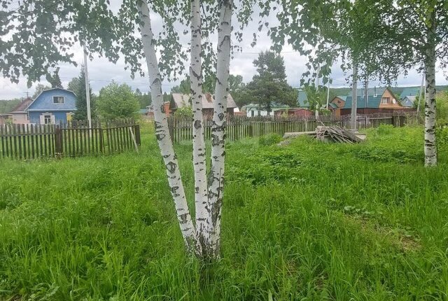 п Кузедеево снт Кузедеевское — Кузбасс фото