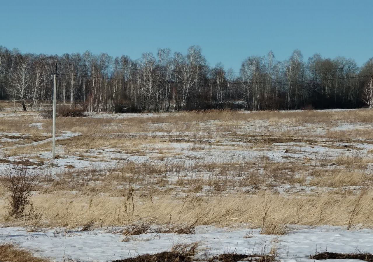 земля г Шадринск ул Садовая с. Ключи фото 3