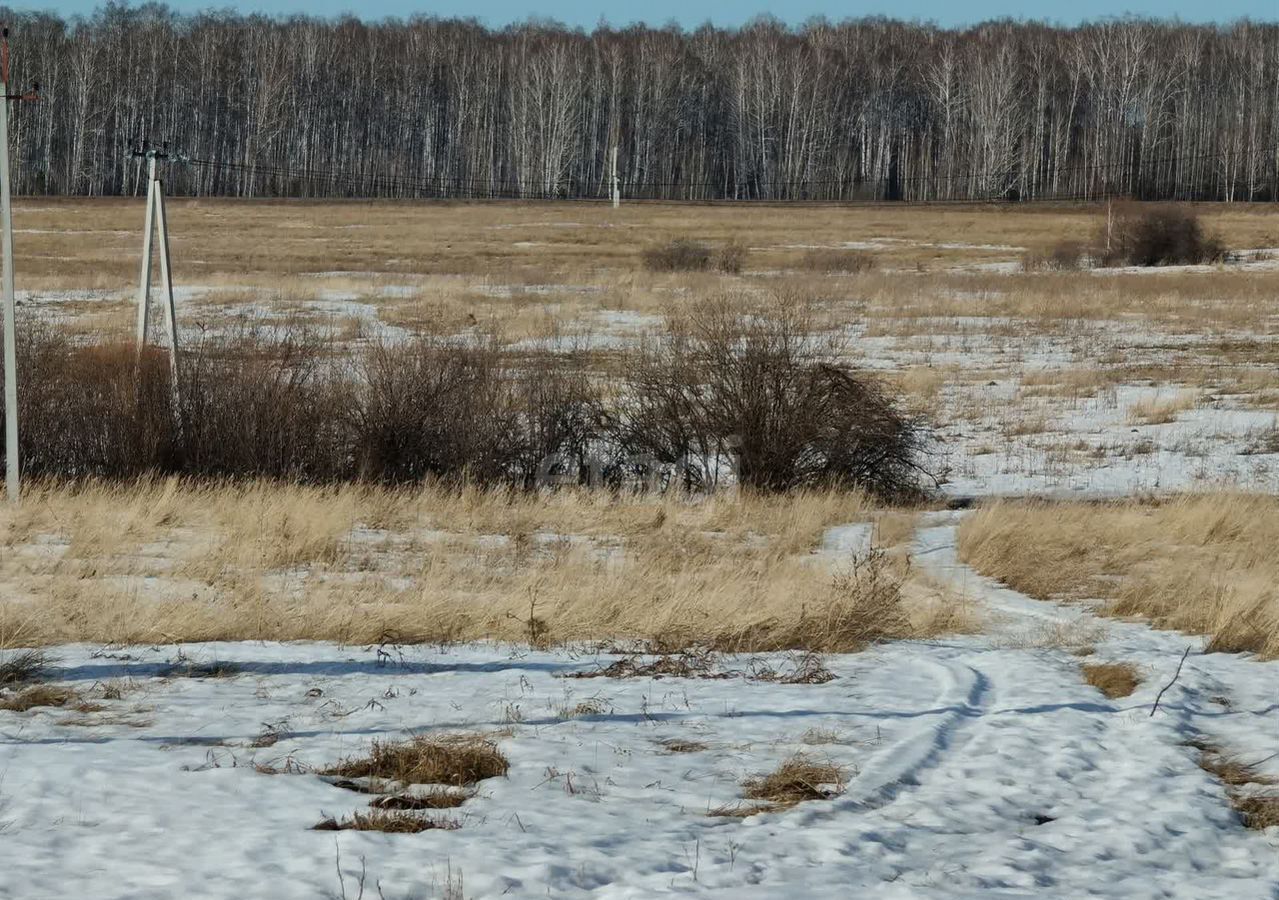 земля г Шадринск ул Садовая с. Ключи фото 9