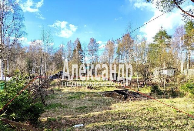 земля ул Ладная 52 Трасса Скандинавия, 94 км, Выборгское городское поселение фото