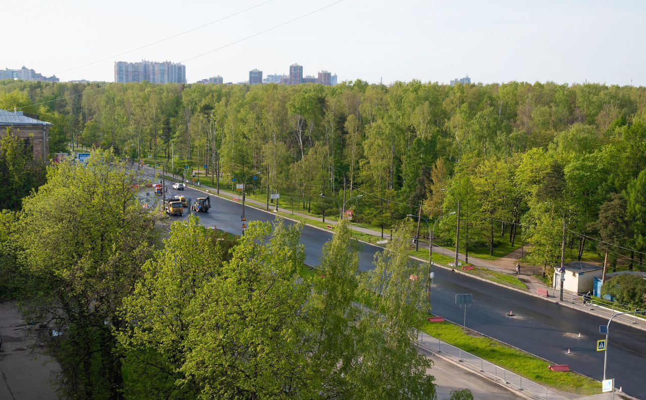 квартира г Санкт-Петербург метро Политехническая пр-кт Светлановский 14к/1 округ Светлановское фото 29
