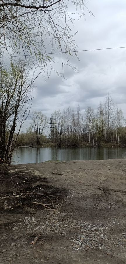 земля г Новосибирск р-н Дзержинский снт Березовая Роща фото 3