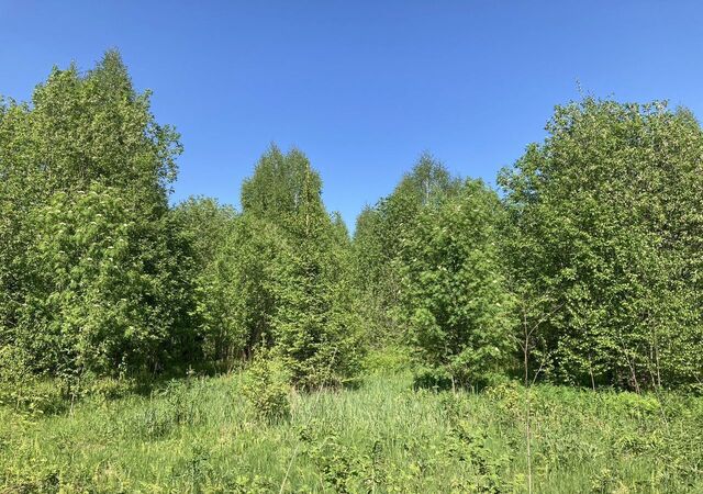 земля тер Урочище Вторая гора Пермь фото
