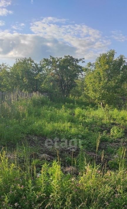 земля г Саранск р-н Ленинский снт Зеленый Друг фото 1