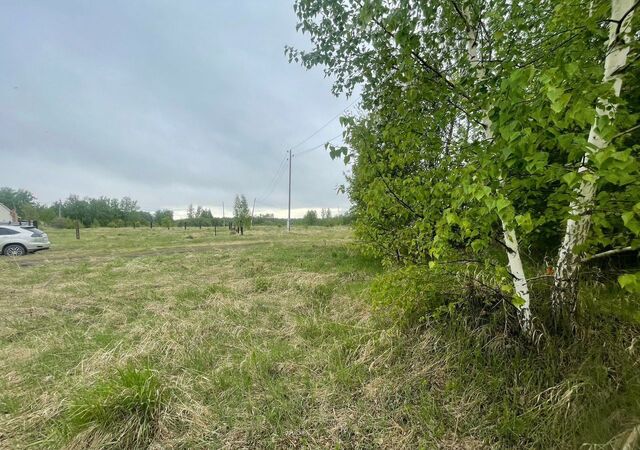 тер ДНТ Озерки Есаульский сельсовет, Красноярск фото
