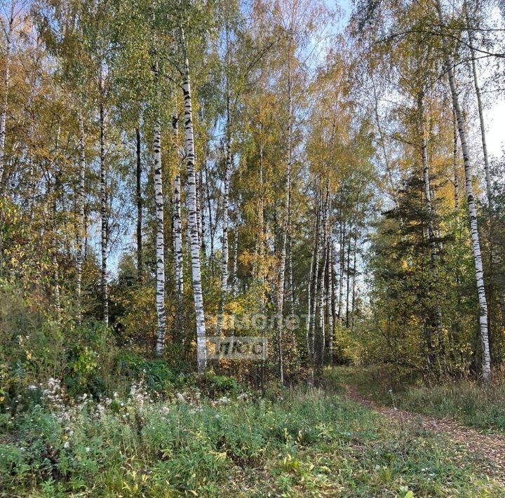 земля городской округ Богородский г Ногинск снт Овощевод ул Центральная Железнодорожная фото 4