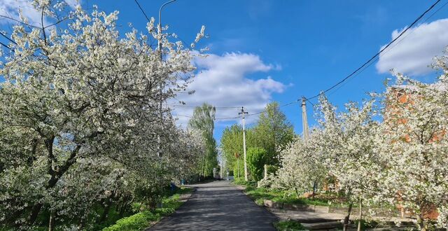 29 км, Новокаширское шоссе фото