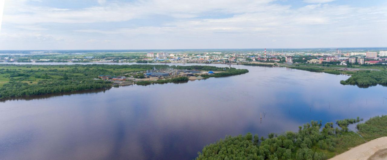квартира г Нефтеюганск мкр 17-й 7/2 фото 8
