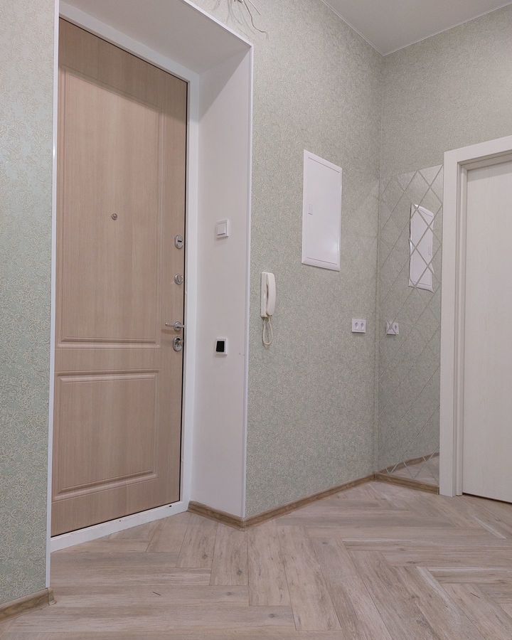 квартира г Санкт-Петербург ул Вёсельная 10 Горный институт фото 6