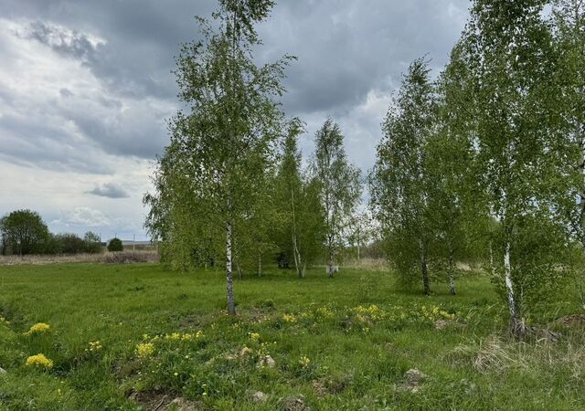 46 км, 10, Бронницы, Рязанское шоссе фото