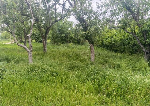 снт Заречное проезд Сезонный фото