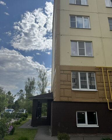 ул Ленина 20а Снегири, д Селиваниха, дп. Снегири фото