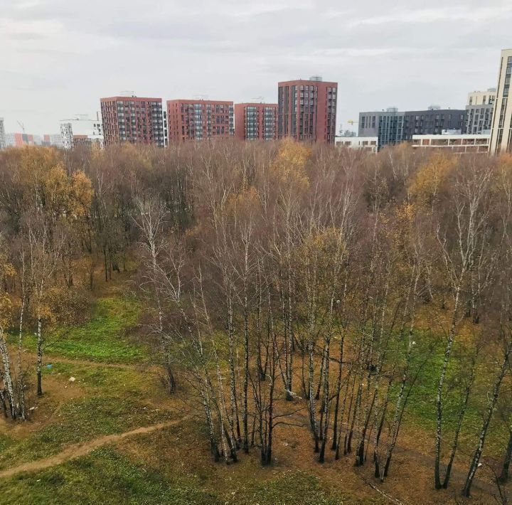 квартира г Москва б-р Скандинавский 23к/1 Потапово фото 5