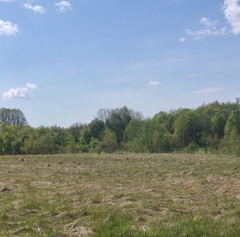 офис д Заречье фото