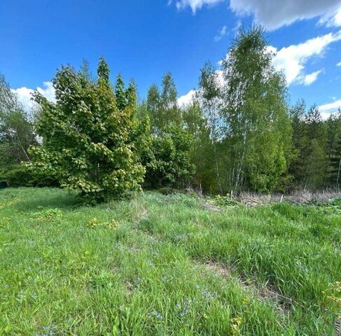 Коломна городской округ фото