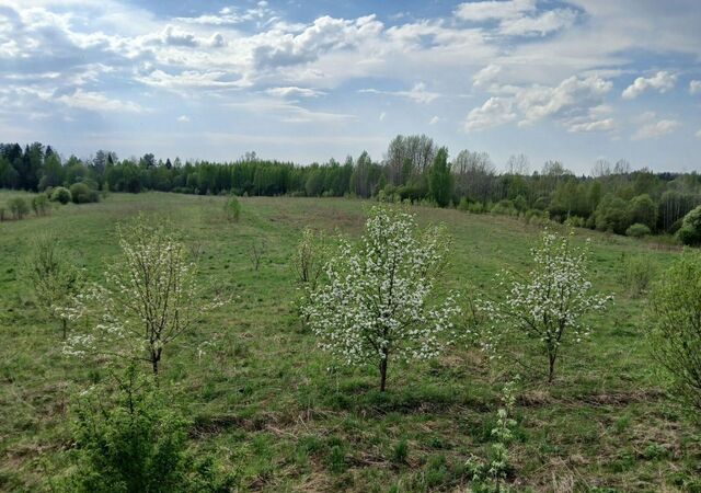 г Лодейное Поле Трасса Лодейное поле — Вытегра, 41К-640 фото