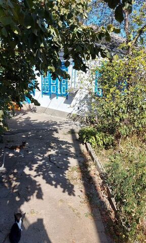 дом ул Южная 26 Новоалександровск фото