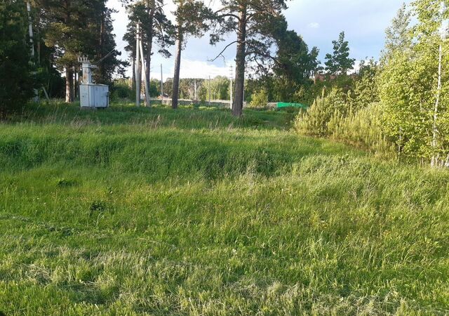 р-н Мошковский с Дубровино Ташара фото