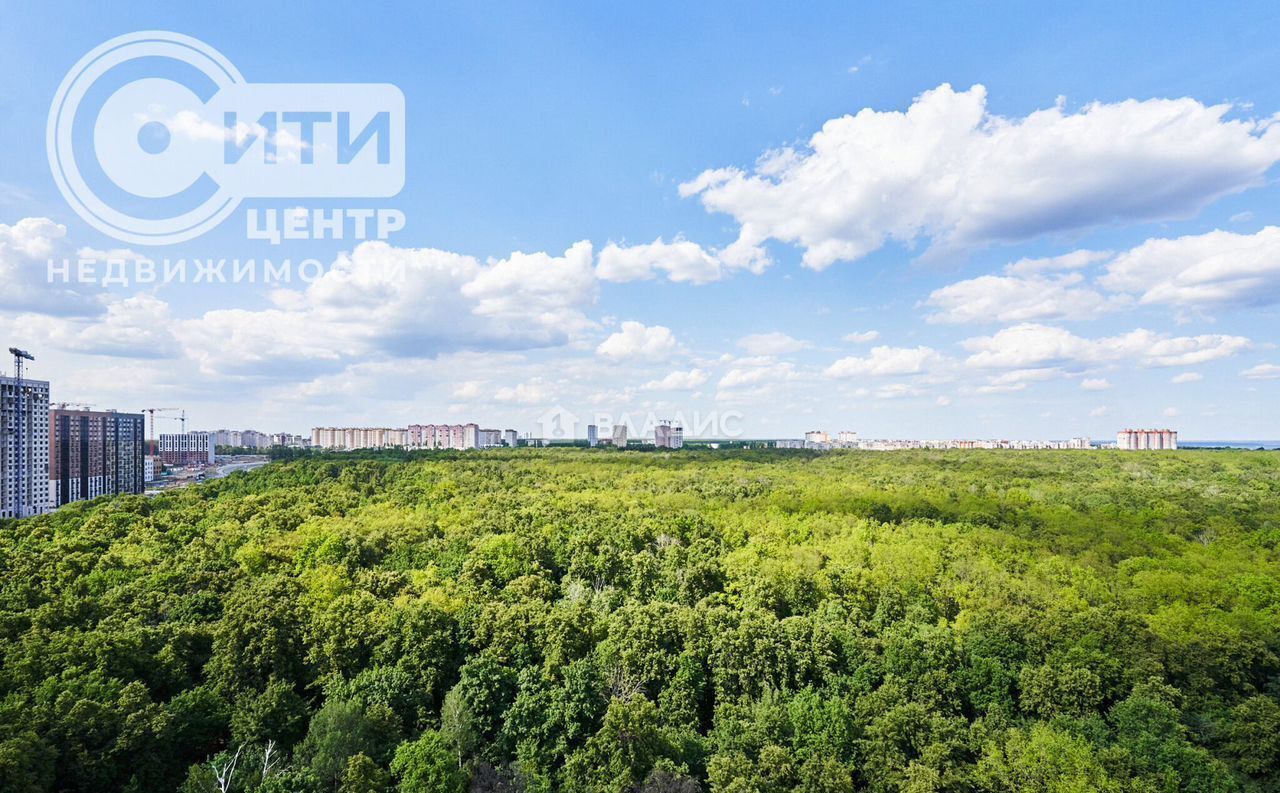 квартира г Воронеж р-н Центральный квартал Троицкий ЖК «Олимпийский» 3 фото 9