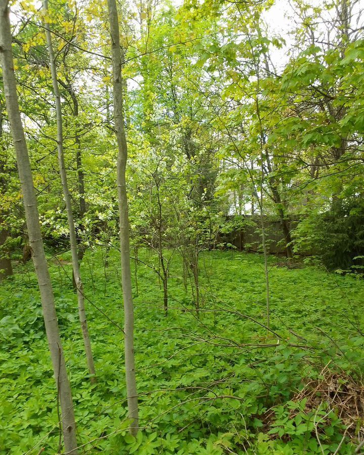 дом г Красногорск мкр Опалиха ул Северная 9 км, Волоколамское шоссе фото 15