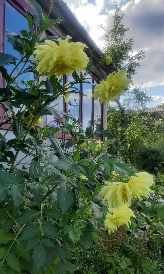 дом г Барнаул р-н Центральный снт Весняночка фото 11