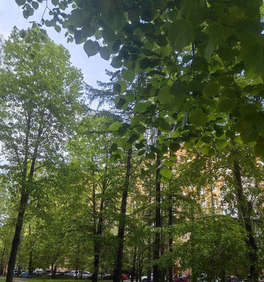 квартира г Мытищи пр-кт Олимпийский 13/2 25-й м-н фото 2