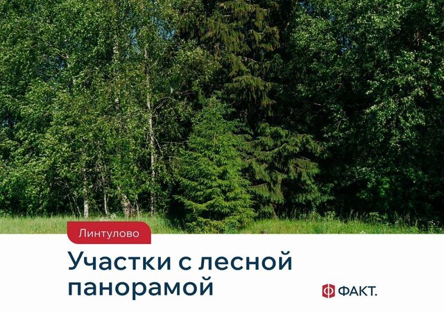 Выборгское шоссе, 29 км, Первомайское сельское поселение, коттеджный пос. Линтулово, Санкт-Петербург, Зеленогорск фото